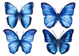 Watercolor colorful butterflies isolated on white background. Spring blue butterfly illustration.