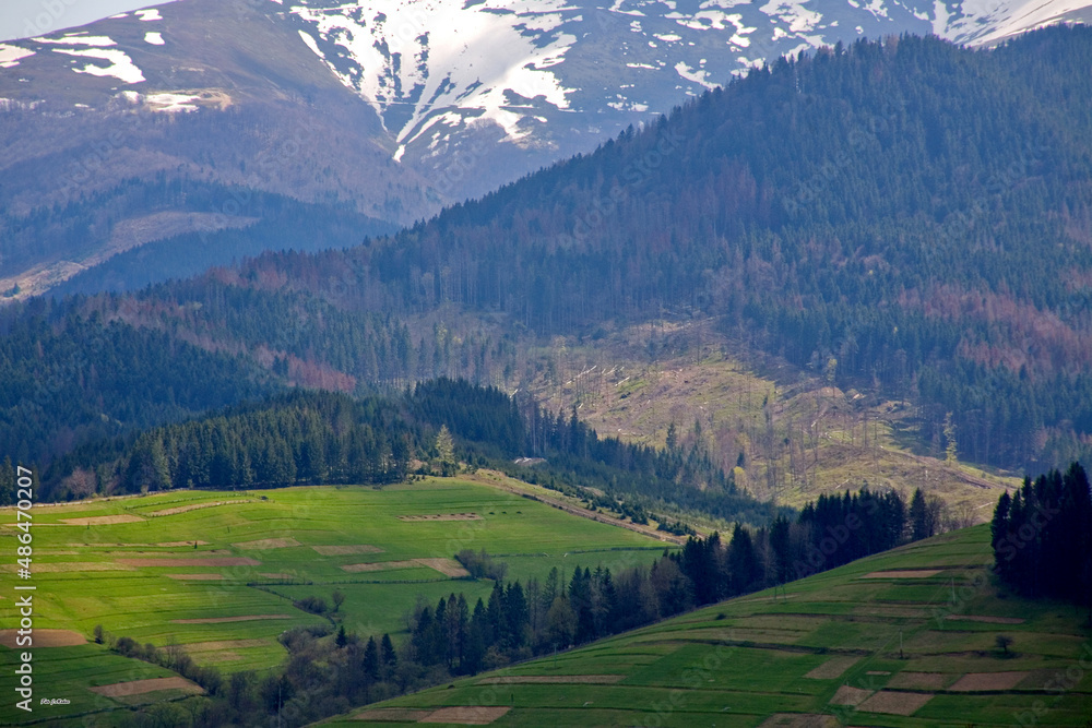 Fototapeta premium landscape in the morning