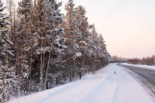 Road in the winter forest, winter forest landscape, copy space © MIKHAIL