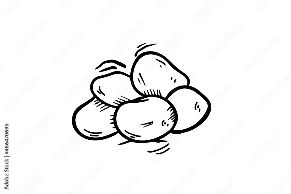 Potatoes are drawn with a black outline. Coloring book, doodle icon. Vector illustration Potatoes are drawn with a black outline. Coloring book, doodle icon. Vector illustration