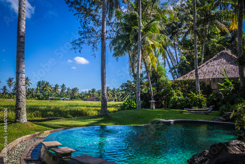 Swimming pool in private villa with view over a ricefield in Ubud Bali