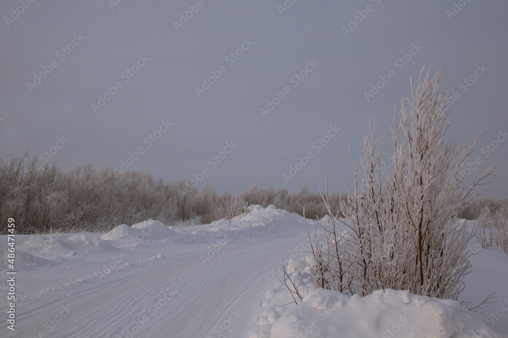 Fototapeta premium A snow-covered northern road in a severe frost. Frozen shrubs on the side of a winter highway in Siberia