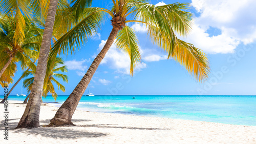 Fototapeta Naklejka Na Ścianę i Meble -  Vacation summer holidays background wallpaper - sunny tropical exotic Caribbean paradise beach with white sand, palms