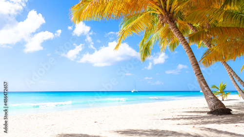 Vacation summer holidays background wallpaper - sunny tropical exotic Caribbean paradise beach with white sand  palms