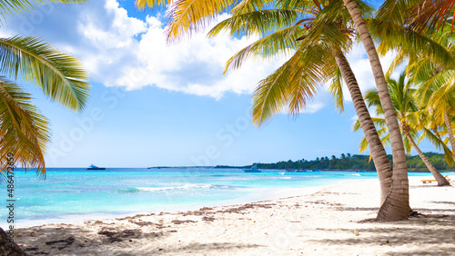 Fototapeta Naklejka Na Ścianę i Meble -  Vacation summer holidays background wallpaper - sunny tropical exotic Caribbean paradise beach with white sand, palms