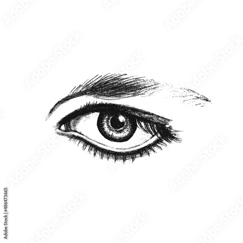 Realistic expressive eye, isolated. Fashion sketch. Vector