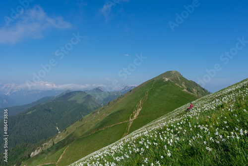 Meadows of mount Golica in spring