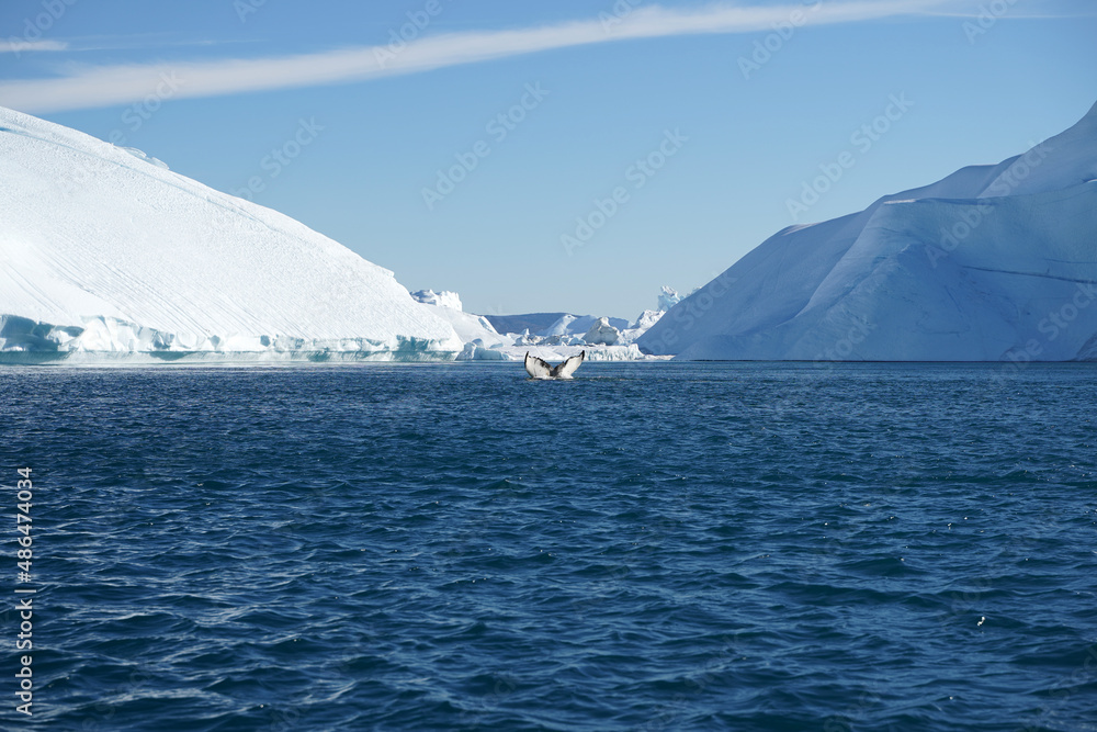 iceberg in polar regions iceberg in polar regions
