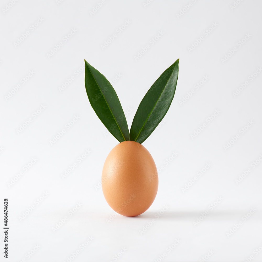 Creative composition made of chicken egg and bunny rabbit ears made from natural green leaves. Easter Bunny minimal concept. Creative composition made of chicken egg and bunny rabbit ears made from natural green leaves. Easter Bunny minimal concept.