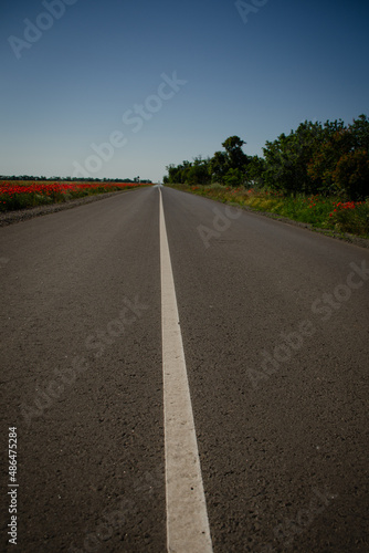 A new road with a white dividing strip outside the city. Asphalt road on a summer day, vertical photo