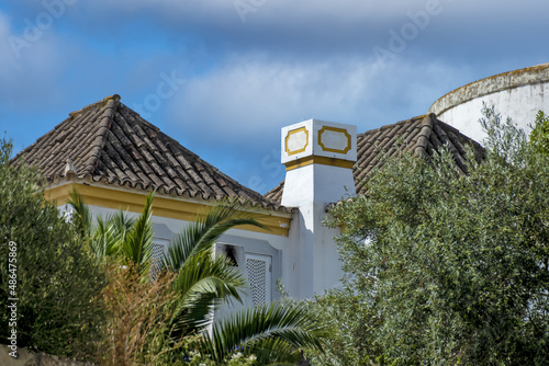 
typical chimney of Algarve on and whitewashed house in the old town of Tavira, Algarve, Portugal