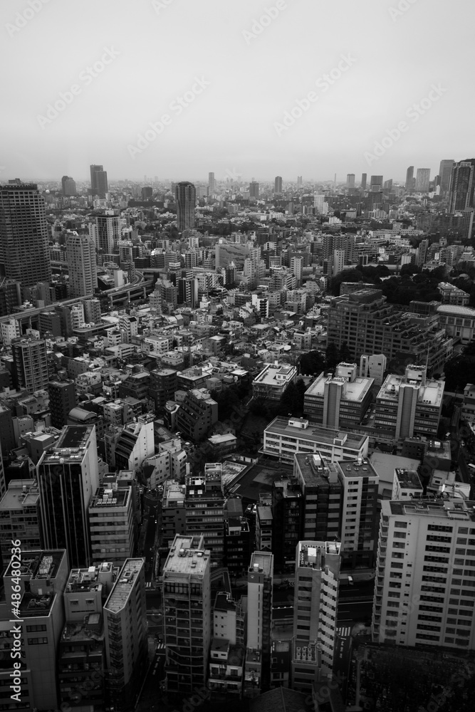 Tokyo city downtown