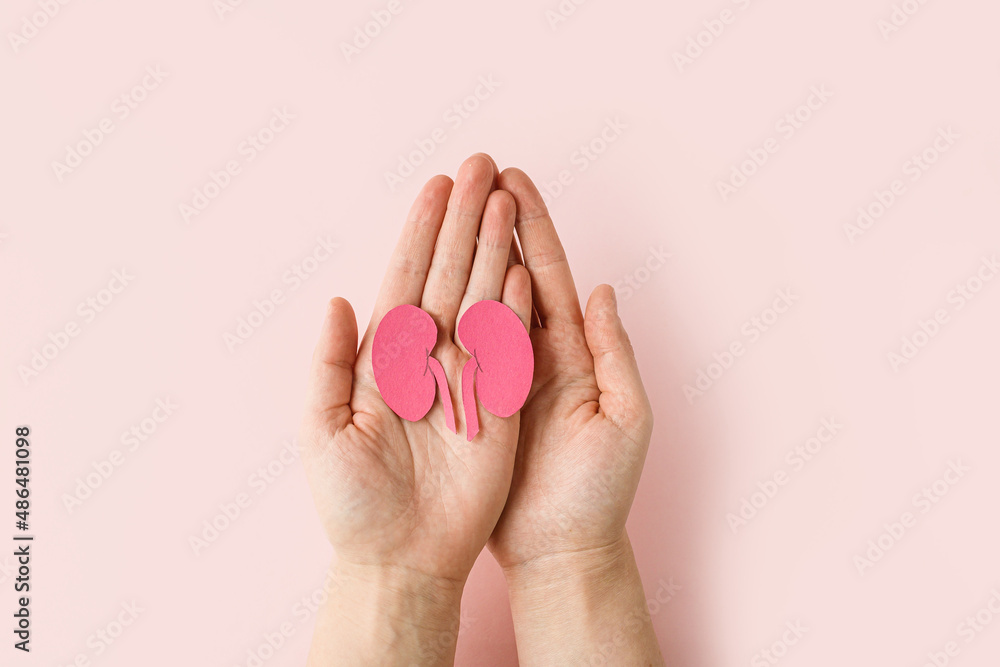 World kidney day. Woman holding kidney shaped paper on pink background. National Organ Donor Day. Kidney health concept. top view banner