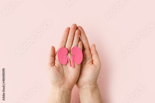 World kidney day. Woman holding kidney shaped paper on pink background. National Organ Donor Day. Kidney health concept. top view banner photo