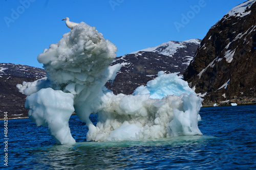 iceberg in the sea