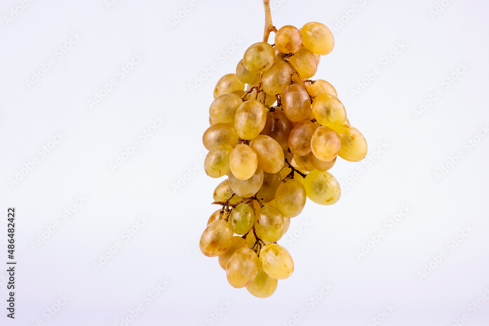 Grapes bunch on white background with copy space.