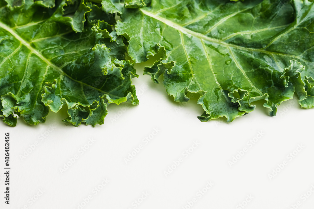 Close up of kale leaves on white background. copy space for text Close up of kale leaves on white background. copy space for text