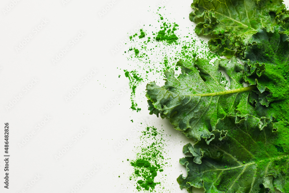 Green leaves of kale and kale powder on white background. copy space for text Green leaves of kale and kale powder on white background. copy space for text