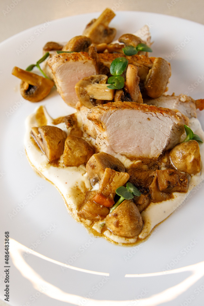 Turkey and mushroom dish with bechamel sauce. Turkey and mushroom dish with bechamel sauce.
