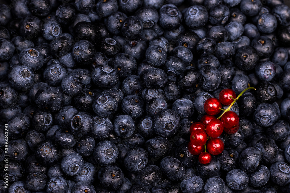 berries background. Ripe blueberry and red currant top view flat lay image. berries background. Ripe blueberry and red currant top view flat lay image.