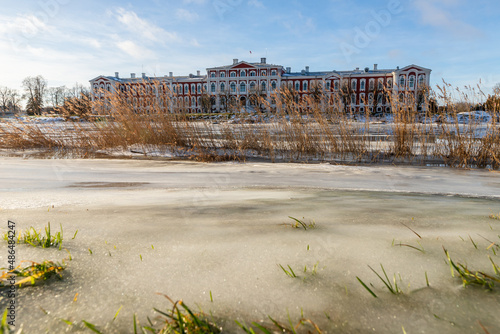 Low angle view through dry brown reeds to baroque residence house on the frozen river at sunny winter day.  Jelgava Palace on the river bank in frosty day. photo