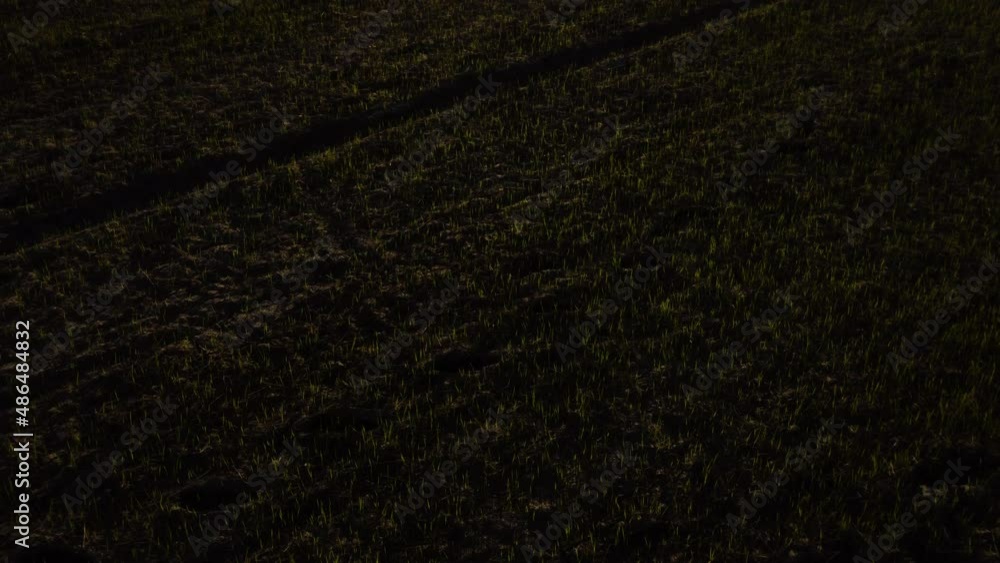 Aerial backwards view starting at ground level and orbit ascending of rice fields at sunset. Lien Huong. Vietnam Aerial backwards view starting at ground level and orbit ascending of rice fields at sunset. Lien Huong. Vietnam