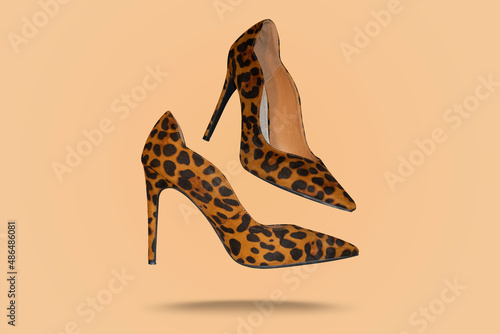 Beautiful animal print high heel footwear fashion female style isolated on background