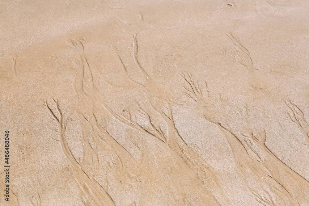 Sand texture background. Nature sand top view on beach in summer. Wave pattern on the coast. Close up of some sand on the shore Sand texture background. Nature sand top view on beach in summer. Wave pattern on the coast. Close up of some sand on the shore
