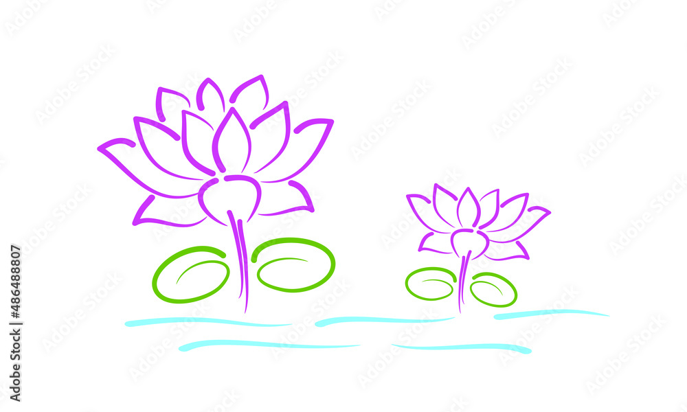 Vector of Lotus Flowers and Leaves Isolated on White Background. Editable Illustration of Lotus Plant in Water. Sketch of Lotus. Vector of Lotus Flowers and Leaves Isolated on White Background. Editable Illustration of Lotus Plant in Water. Sketch of Lotus.