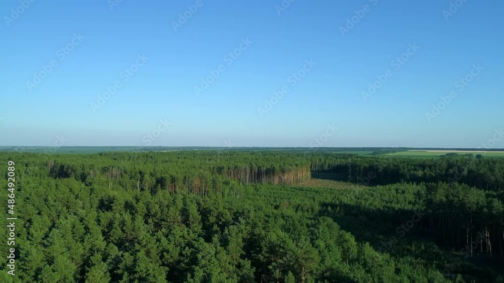 Aerial view forest and deforestation in summer. Drone flying over green trees in sunny day. Drone shot over trees cut down. Ecological catastrophe of the entire planet earth, environmental pollution Aerial view forest and deforestation in summer. Drone flying over green trees in sunny day. Drone shot over trees cut down. Ecological catastrophe of the entire planet earth, environmental pollution