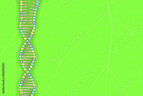 Unfolding DNA molecule on leaf, vector illustration