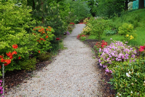 Silesian Botanical Garden in Mikolow photo