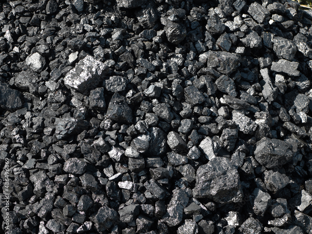 Barbecue grill coal close up. Black charcoal texture background.