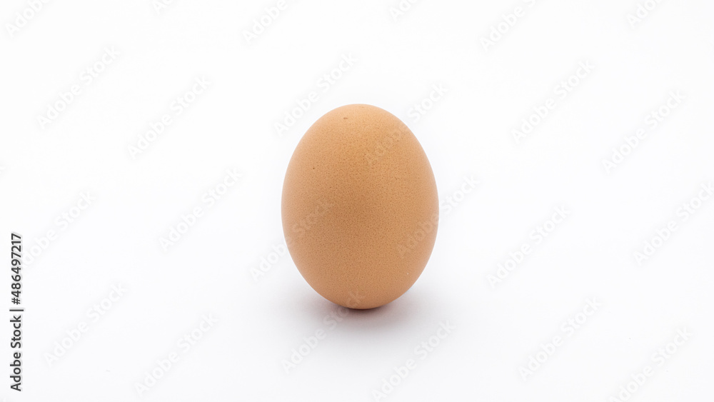 egg on a white background. chicken egg on a white background egg on a white background. chicken egg on a white background