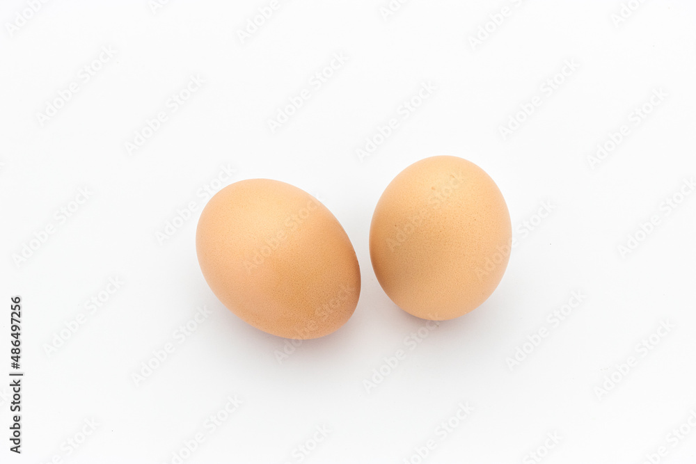 eggs on a white background. chicken eggs on a white background eggs on a white background. chicken eggs on a white background