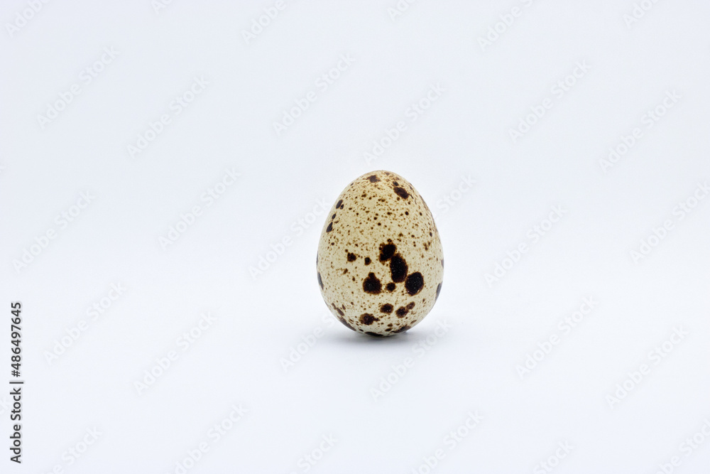 quail egg on a white background