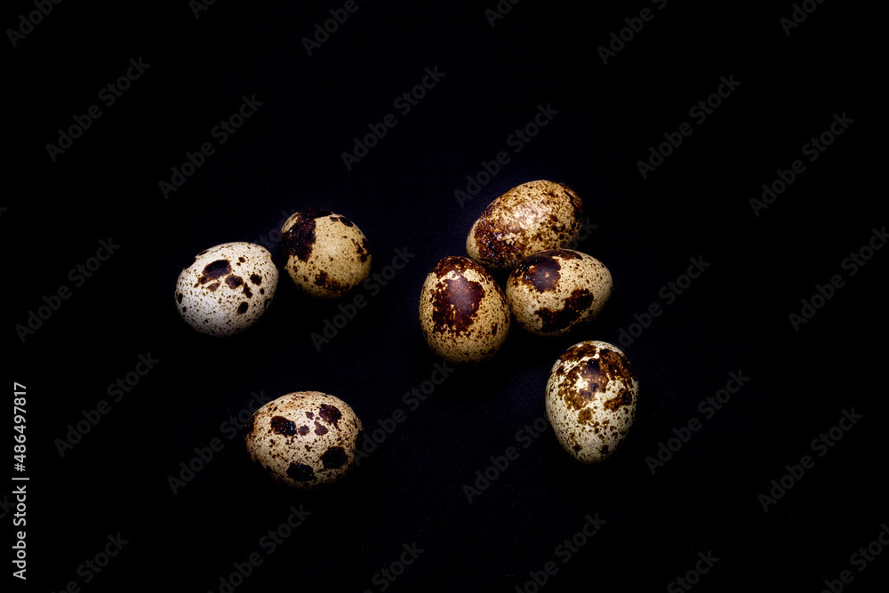 Fototapeta premium quail eggs on a black background