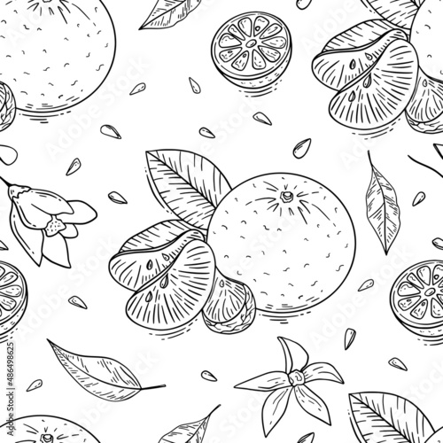 Mandarin fruit hand drawn seamless pattern with black outlines on white background for textile, print, background, highlights. Vector illustration