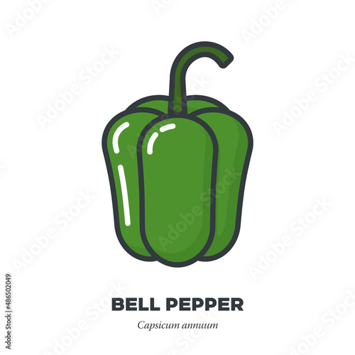 Green bell pepper icon, filled outline style vector illustration