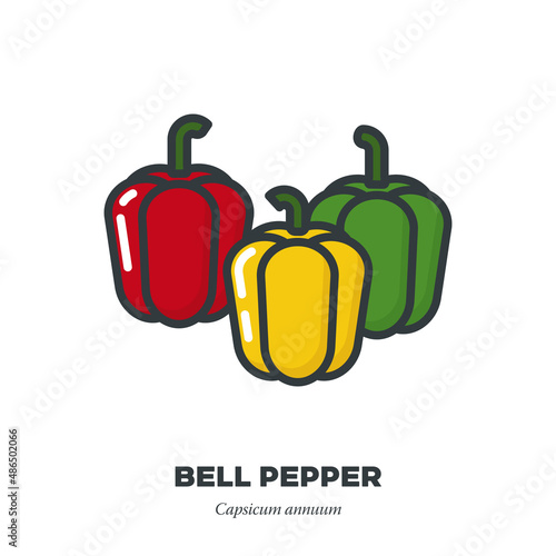 Variety of bell pepper vegetables icon, filled outline style illustration