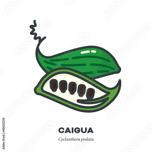 Caigua gourd icon, filled outline style vector illustration