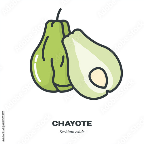 Chayote vegetable icon, filled outline style vector illustration
