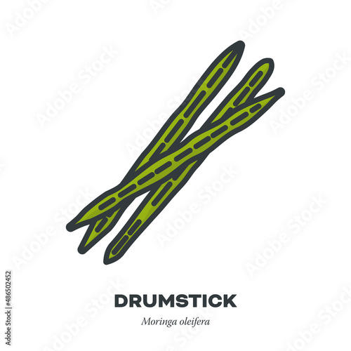 Drumsticks vegetable icon, filled outline style vector illustration