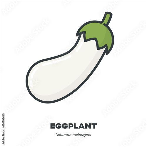 White eggplant icon, filled outline style vector illustration