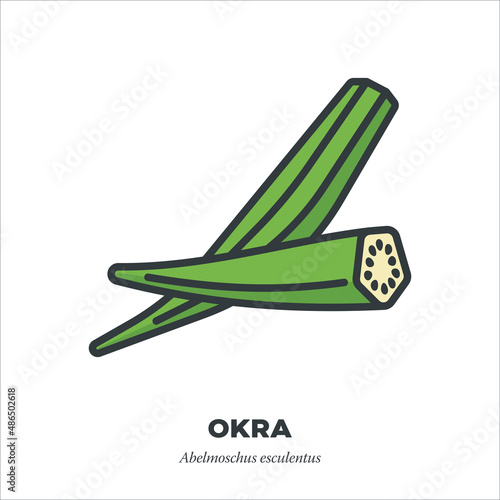 Okra pods icon, filled outline style vector illustration