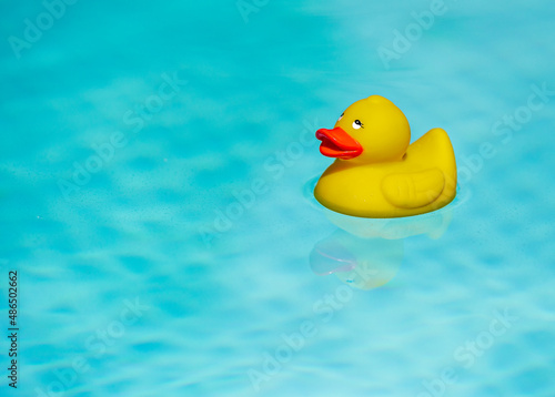 Yellow rubber duck in the pool
