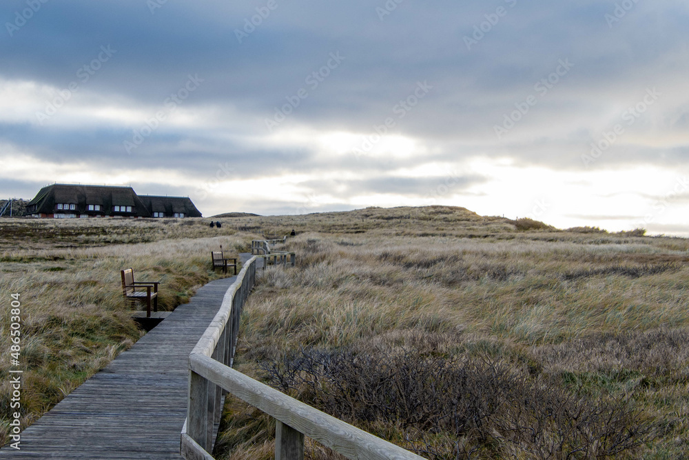 Fototapeta premium Weg, Holzsteg auf dem Roten Kliff in Kampen, Insel Sylt