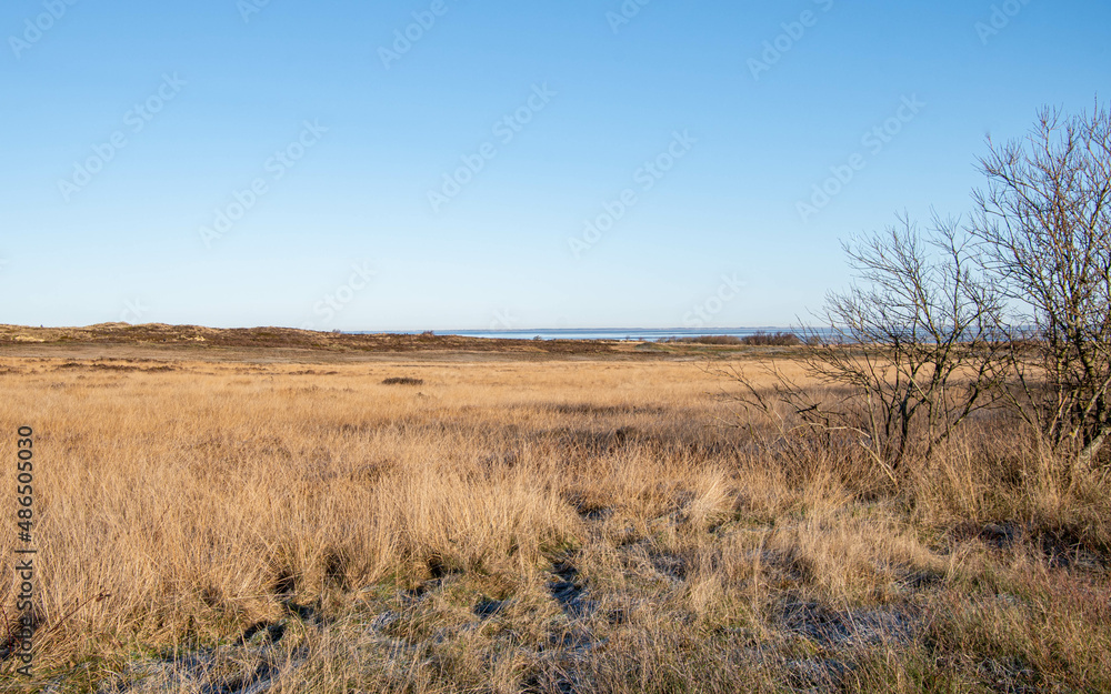 Blick über die Landschaft im Naturschutzgebiet Morsum Kliff mit kahlen Bäumen in der Sonne im Winter, Insel Sylt Blick über die Landschaft im Naturschutzgebiet Morsum Kliff mit kahlen Bäumen in der Sonne im Winter, Insel Sylt