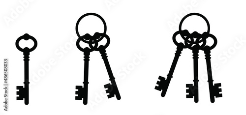 bunch of keys. Vector cartoon old antique ornate door big key sign. Door keys for close or open door. Doorway pictogram. Exit or entry Home, house, hotel. Lock, unluck privacy. 