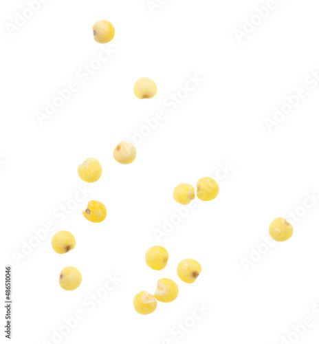 Millet groats isolated on a white background.